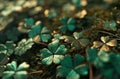 st patrick's day irish clover background