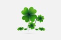 St. Patrick`s day lucky plant greetings card vector Royalty Free Stock Photo