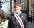 St.Patrick's Day Parade Royalty Free Stock Photo
