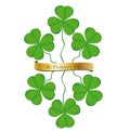 St. Patrick's Day Shamrock