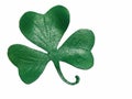 St. Patrick's Day Shamrock