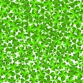 St. Patrick`s Day - shamrock, clover texture Royalty Free Stock Photo