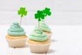 St. Patrick`s Day theme colorful horizontal banner. Cupcakes decorated with green buttercream and craft felt decorations in form