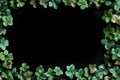 A St. Patrick's Day-themed frame featuring clover leaves stands out against a black background, adding a touch of