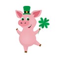 St. Patrick`s Day vector illustration. Pig wearing Leprechaun Hat. Cartoon Pig with clover. Good luck pig. Postcard, poster,