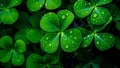 st. patrick\'s green background grass leaves ireland spring