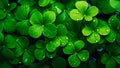 st. patrick\'s green background grass leaves ireland spring