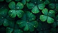 st. patrick\'s green background grass leaves ireland spring