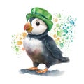 St. Patrick\'s puffin in a green leprechaun hat. Watercolor cartoon.