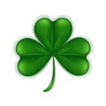 St. Patrick's Day shamrock symbol of good luck.