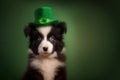 St. Patricks border collie puppy dog in a leprechaun hat on green background.