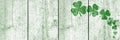 St Patricks day background. Shamrocks over a light green wood background. Decoration for St. Patrick\'s Day