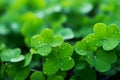 St. Patricks Day Banner Background. Decorative clover in Traditional Irish Symbols Royalty Free Stock Photo