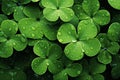 St. Patricks Day Banner Background. Decorative clover in Traditional Irish Symbols Royalty Free Stock Photo