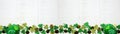 St Patricks Day banner with bottom border of green shamrocks, gold coins and leprechaun hat, overhead view over a white wood backg