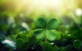 St Patricks Day Blurred Background. Photorealistic big four leaf clover in the center, close up, luck winning. Green grass Royalty Free Stock Photo