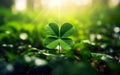 St Patricks Day Blurred Background. Photorealistic big four leaf clover in the center, close up, luck winning. Green grass, bokeh Royalty Free Stock Photo