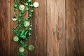 St Patricks Day border of shamrocks beads and coins over a rustic wood background Royalty Free Stock Photo