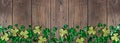 St Patricks Day bottom border of shiny shamrocks over a dark wood banner background Royalty Free Stock Photo