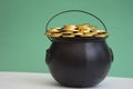 St. patricks day caldron with gold Royalty Free Stock Photo