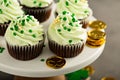 St Patricks day chocolate mint cupcakes Royalty Free Stock Photo