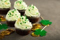 St Patricks day chocolate mint cupcakes Royalty Free Stock Photo