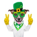 St patricks day dog Royalty Free Stock Photo