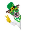 St patricks day dog Royalty Free Stock Photo