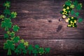 St Patricks day, golden coins, festive hat and green Shamrocks on wooden Royalty Free Stock Photo