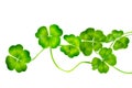 St.Patricks day shamrock