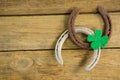 St Patricks Day shamrock with two horseshoes Royalty Free Stock Photo