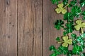 St Patricks Day side border of shiny shamrocks over a dark wood background Royalty Free Stock Photo