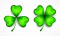 St Patricks green clover leaves on white. Vector illustration.