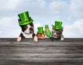 St Patricks Pets Background