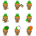 St Patricks Tiger Animal Bundle Set