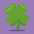 st patrik luck plant 12