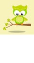 st patrik owl sitting 03