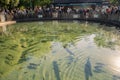 Fish pond at the Natural Resources Park, sponsored by the Minnesota DNR Department of