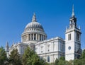 St Paul's Cathedral above the trees