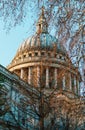 St Paul`s Cathedral dome behind tree branches in a sunny day Royalty Free Stock Photo