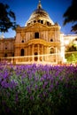 St Paul's in the spring Royalty Free Stock Photo