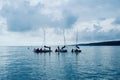 sailing school for kids practicing at the bay with calm flat water and little wind