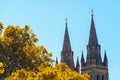 St Peter`s Cathedral in North Adelaide Royalty Free Stock Photo