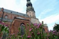 St. Peter`s Church in summer time. View through flowers. Focus Royalty Free Stock Photo