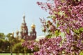 St. Petersburg, Church of the Saviour on Spilled Blood or Cathedral of the Resurrection of Christ Royalty Free Stock Photo