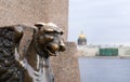 St. Petersburg, the muzzle of the statue of the winged lion on the Neva embankment