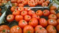 Red tomatoes for sale. Vegetables background. Local farmers market or supermarket. Rich harvest. Products supply. Retail industry Royalty Free Stock Photo