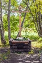 St. Petersburg, Russia-August 8, 2018: A wooden cross in memory of Grigory Rasputin in Alexander Park, Pushkin city