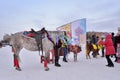 People are photographed with animals - a horse, a deer, a pony d