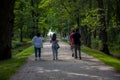People walk along the alley in the Central Park of Culture and Leisure Dubki city of Sestroretsk, St. Petersburg